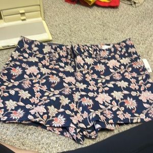 GAP Women’s shorts size 12